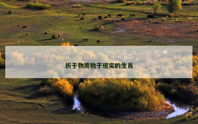 折于物质败于现实的生肖