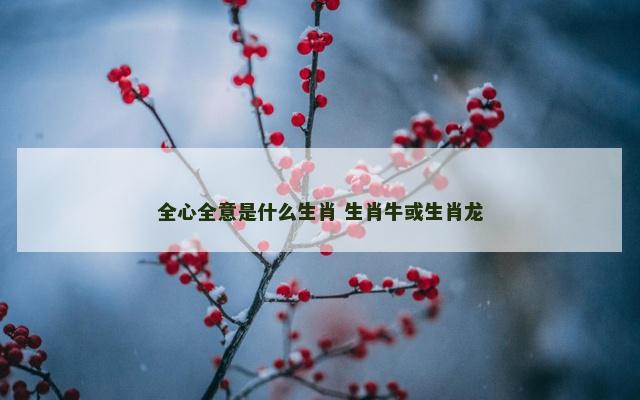 全心全意是什么生肖 生肖牛或生肖龙