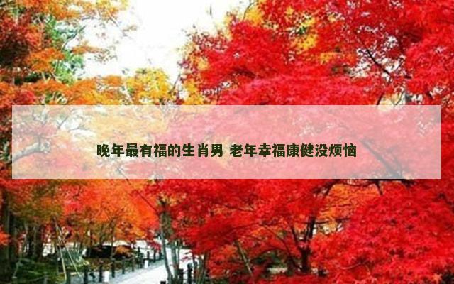 晚年最有福的生肖男 老年幸福康健没烦恼