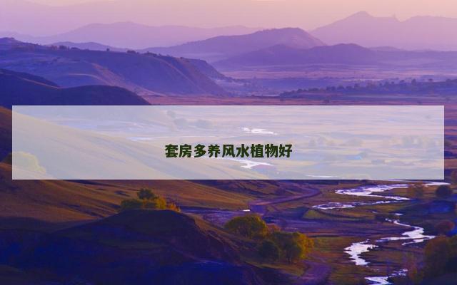 套房多养风水植物好