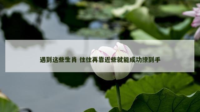 遇到这些生肖 往往再靠近些就能成功撩到手