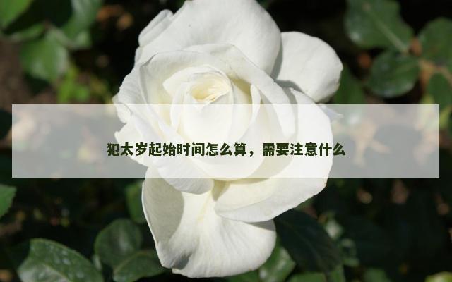 犯太岁起始时间怎么算，需要注意什么