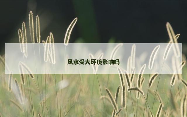 风水受大环境影响吗 风水受大环境影响吗