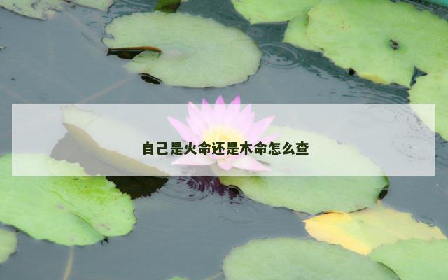 自己是火命还是木命怎么查 自己是火命还是木命怎么查
