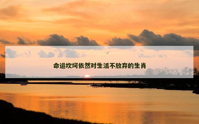 命运坎坷依然对生活不放弃的生肖