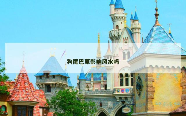 狗尾巴草影响风水吗