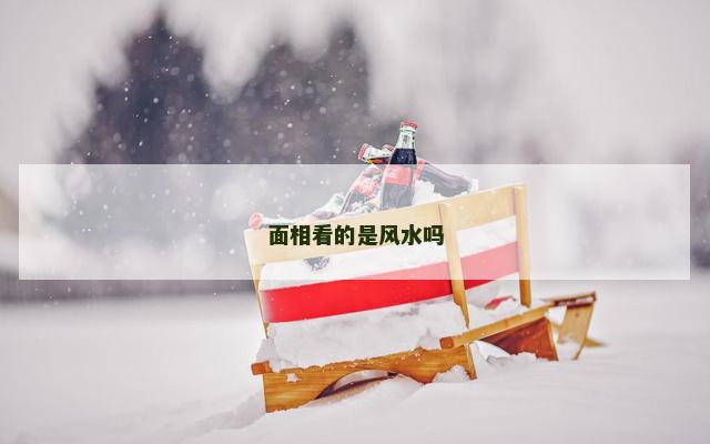 面相看的是风水吗