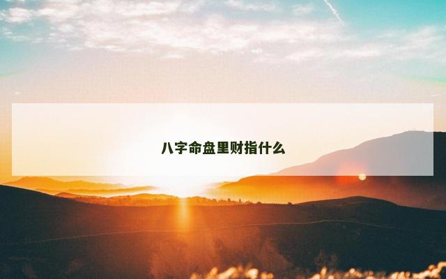 八字命盘里财指什么