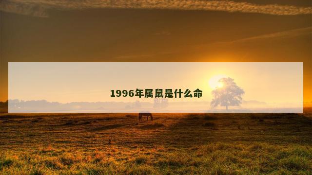 1996年属鼠是什么命