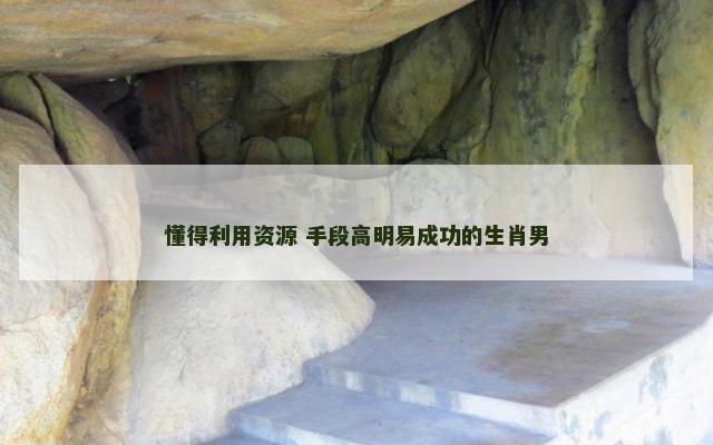 懂得利用资源 手段高明易成功的生肖男