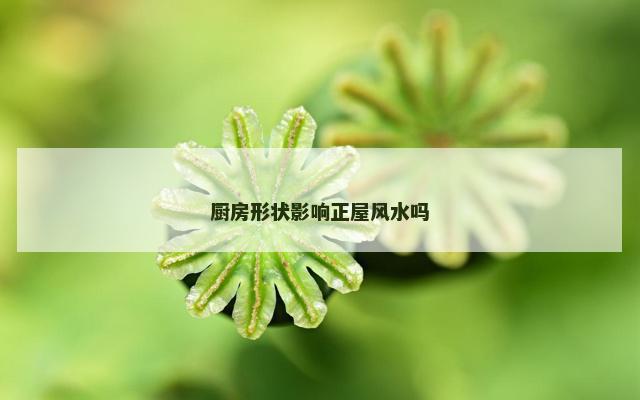 厨房形状影响正屋风水吗 厨房形状影响正屋风水吗