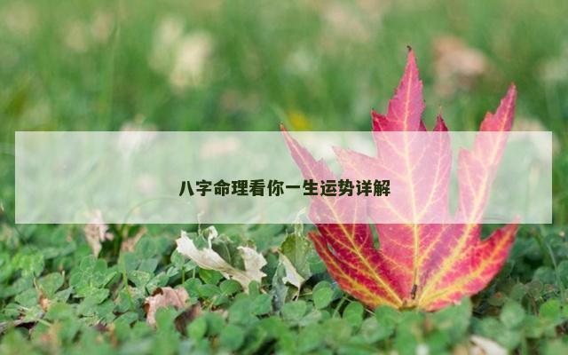 八字命理看你一生运势详解