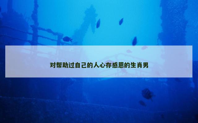 对帮助过自己的人心存感恩的生肖男