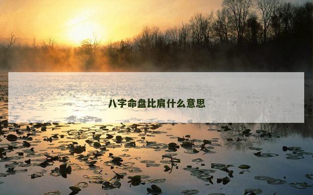 八字命盘比肩什么意思