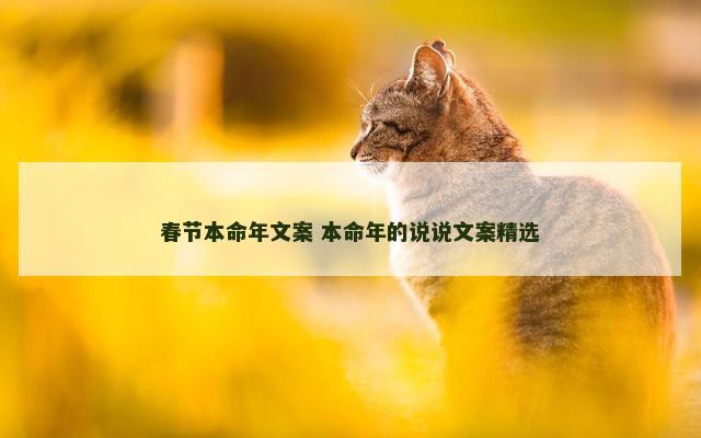 春节本命年文案 本命年的说说文案精选