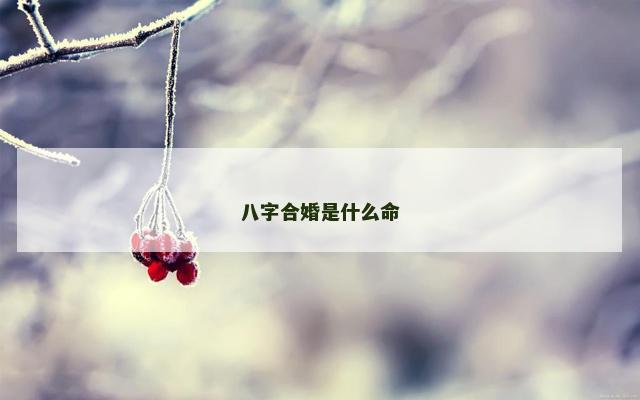 八字合婚是什么命