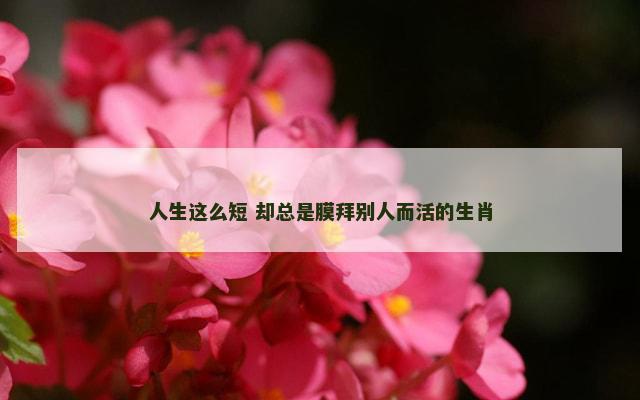 人生这么短 却总是膜拜别人而活的生肖 人生这么短 却总是膜拜别人而活的生肖