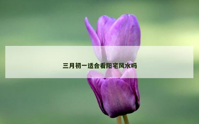 三月初一适合看阳宅风水吗