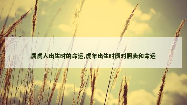 属虎人出生时的命运,虎年出生时辰对照表和命运