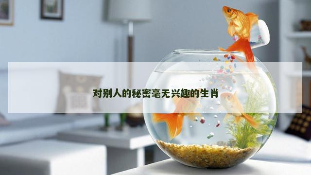 对别人的秘密毫无兴趣的生肖