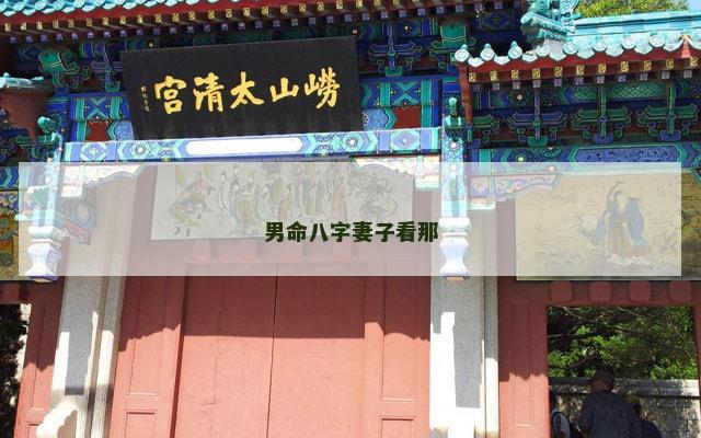 男命八字妻子看那