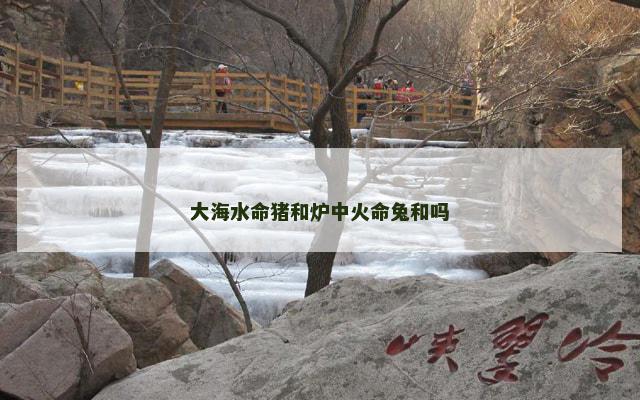 大海水命猪和炉中火命兔和吗