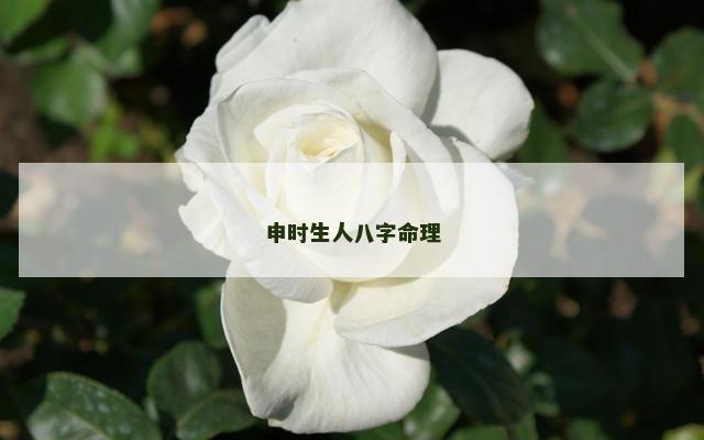 申时生人八字命理