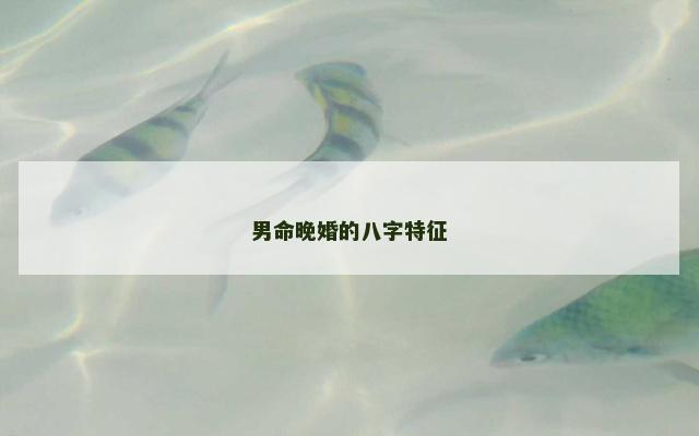 男命晚婚的八字特征 男命晚婚的八字特征