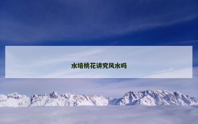 水培桃花讲究风水吗