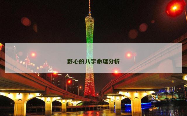 野心的八字命理分析