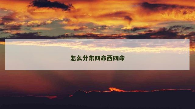 怎么分东四命西四命