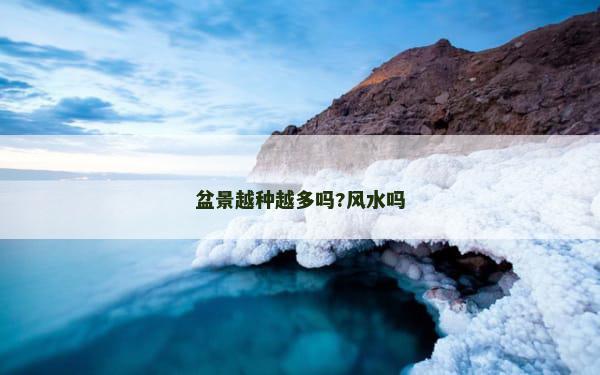 盆景越种越多吗?风水吗