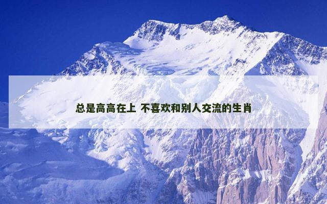 总是高高在上 不喜欢和别人交流的生肖