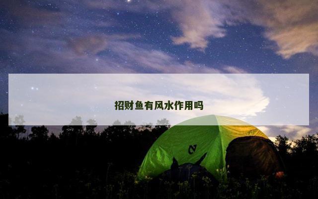 招财鱼有风水作用吗