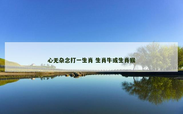 心无杂念打一生肖 生肖牛或生肖猴
