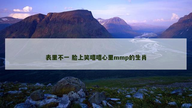 表里不一 脸上笑嘻嘻心里mmp的生肖