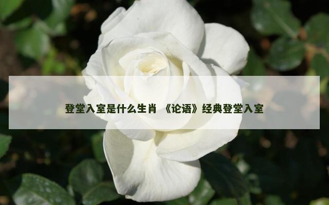 登堂入室是什么生肖 《论语》经典登堂入室