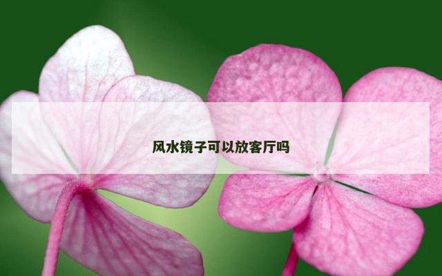 风水镜子可以放客厅吗