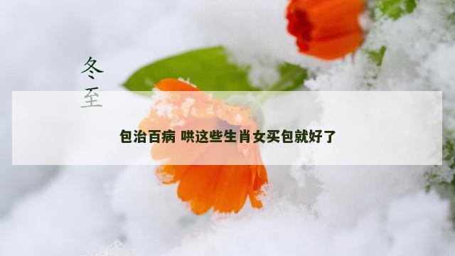 包治百病 哄这些生肖女买包就好了