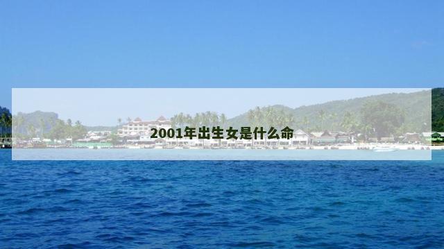 2001年出生女是什么命