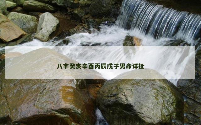 八字癸亥辛酉丙辰戊子男命详批