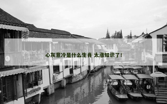 心灰意冷是什么生肖 太涨知识了！