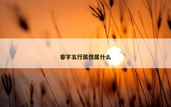 睿字五行属性属什么
