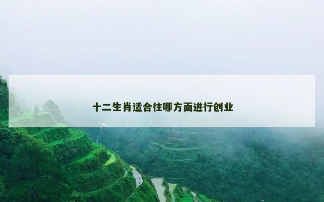 十二生肖适合往哪方面进行创业