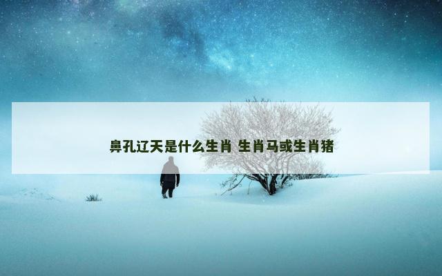 鼻孔辽天是什么生肖 生肖马或生肖猪