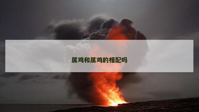 属鸡和属鸡的相配吗
