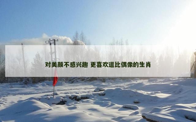 对美颜不感兴趣 更喜欢逗比偶像的生肖