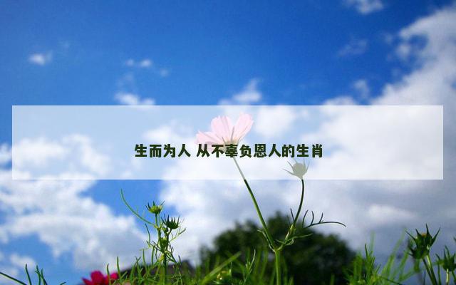 生而为人 从不辜负恩人的生肖