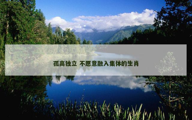 孤高独立 不愿意融入集体的生肖