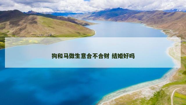 狗和马做生意合不合财 结婚好吗